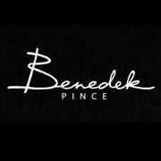 Logo  - Benedek Pince